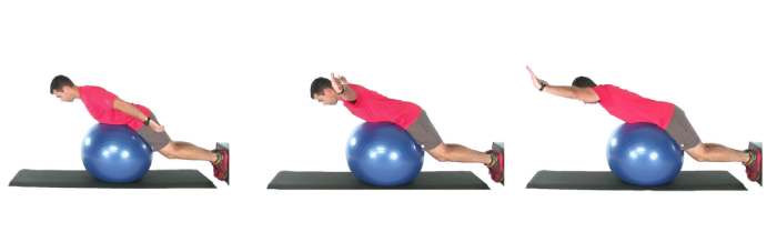 Trunk Lift Exercise program